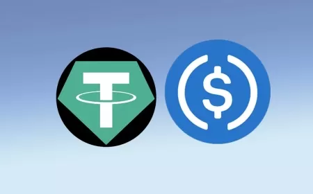 Stablecoin Market Surpasses $205 Billion and Gears Up for Mainstream Adoption