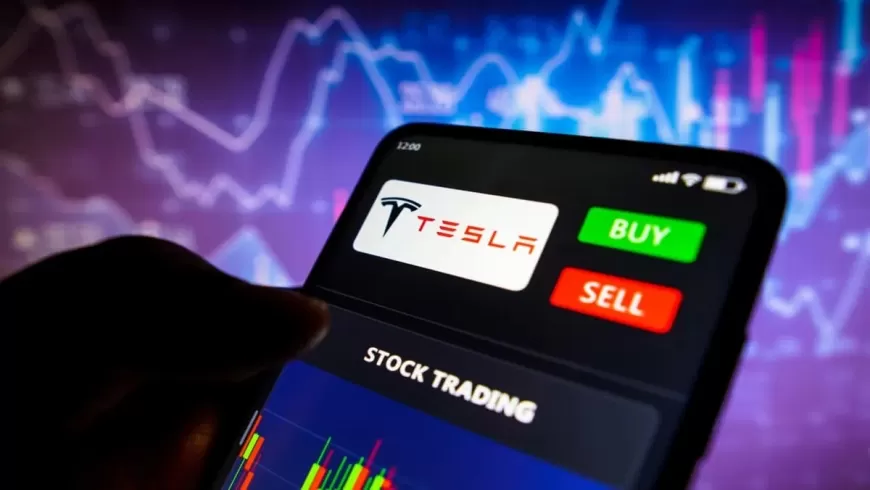 Tesla Stock Surge Faces Challenges with Potential Sales Decline in 2024