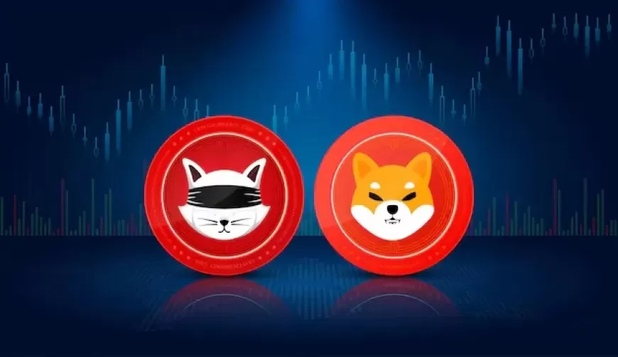 Which Meme Coin to Buy in 2025: Dogecoin vs. Shiba Inu?