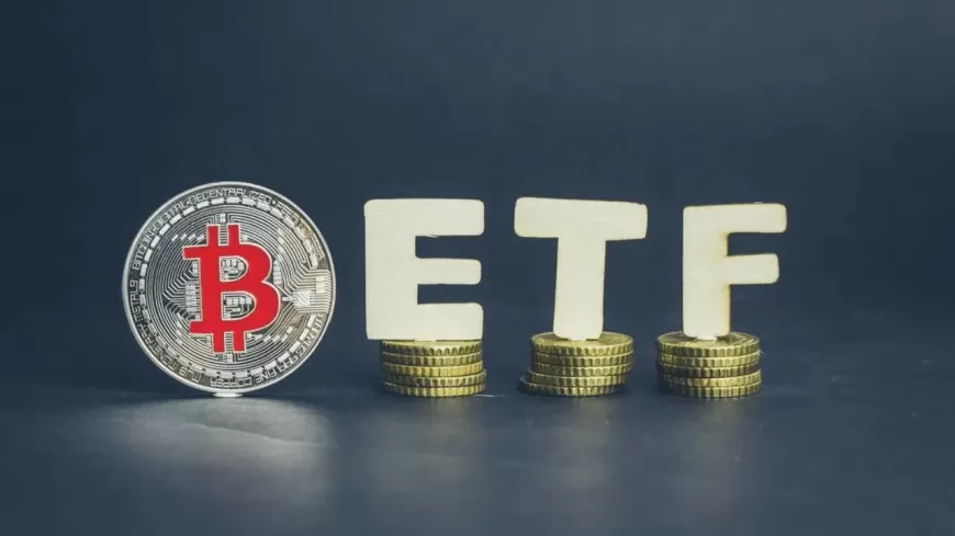 Spot Bitcoin ETFs: Winners and Losers in Their First Year of Trading