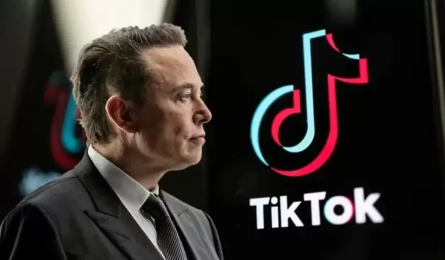 Elon Musk Eyed as Potential Buyer for TikTok as Trump Pushes to Secure Platform's U.S. Future