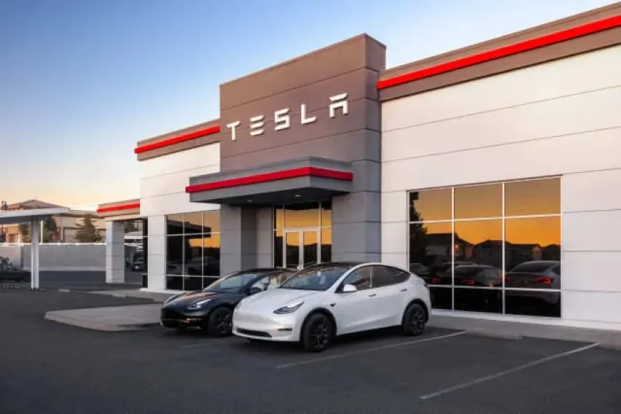 Tesla Investors Hope Cheaper EV Model Boosts Growth in 2025