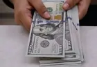 Rising US Dollar Cuts Global Company Profits, Increases Financial Pressure