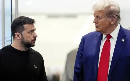 Why Trump Wants Ukraine's Rare Earth Minerals