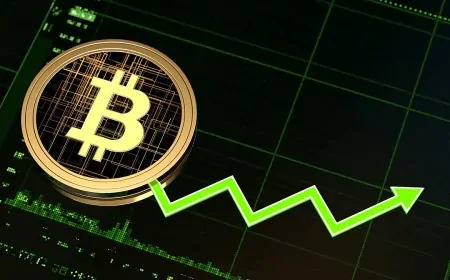 Will Bitcoin Keep Rising in 2025? Key Risks to Watch
