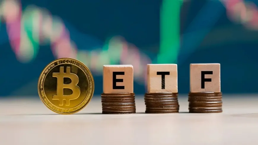 Invest $100 in These 2 Bitcoin ETFs for Long-Term Potential