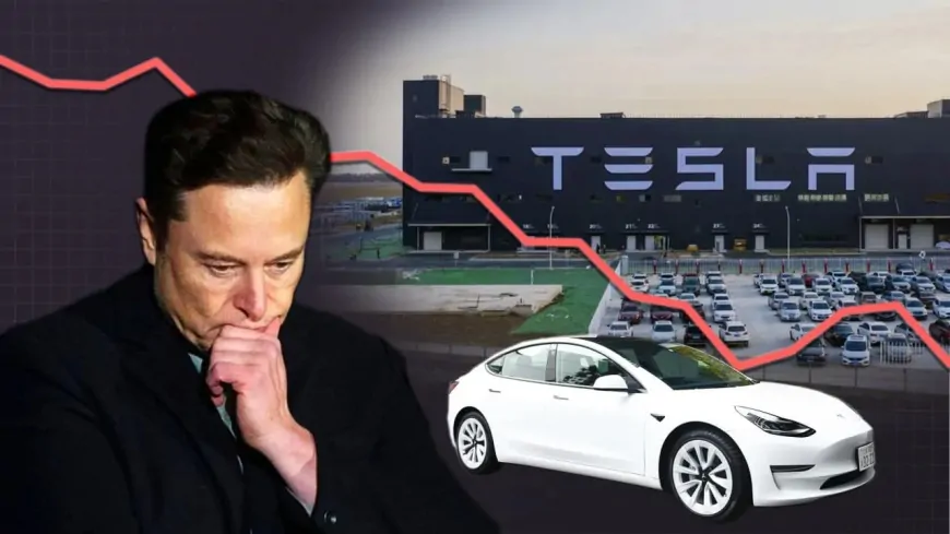 Tesla Stock Falls Nearly 40 Percent as Sales Slow and Elon Musk's Political Moves Raise Concerns