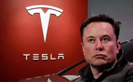 Tesla Stock Drops 45% – Analyst Says It’s a ‘Gut Check Moment