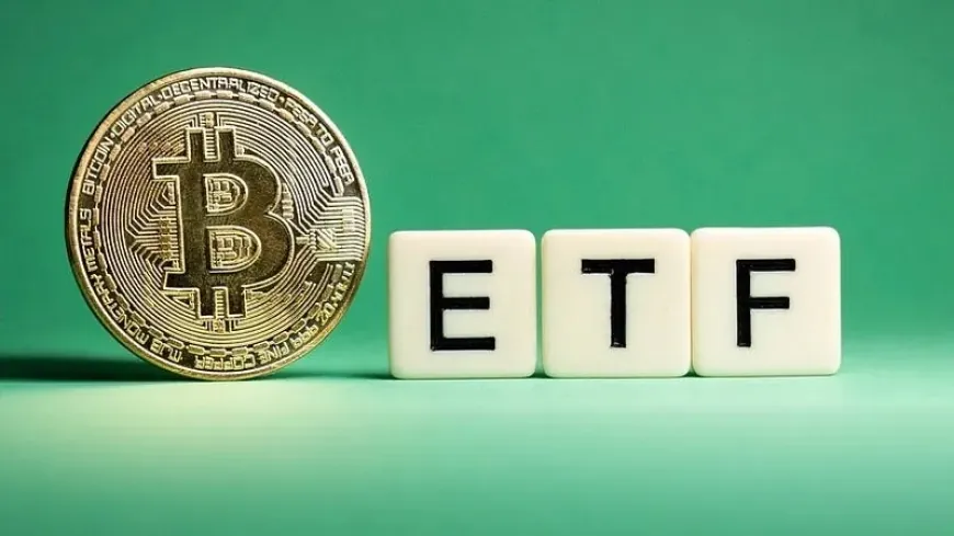 Top 3 Spot Bitcoin ETFs to Buy With $100 and Hold Long-Term