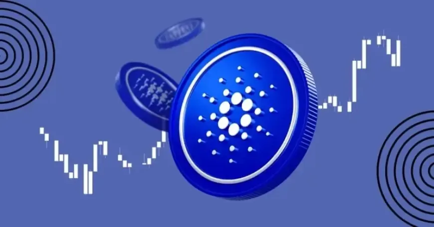 4 Reasons to Buy Cardano Before 2025: Bitcoin Bridge, Blockchain Upgrades, Institutional Demand