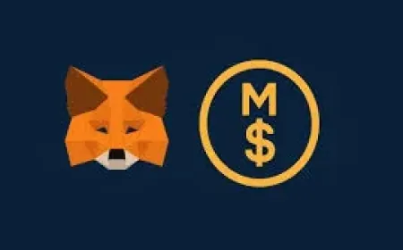 MetaMask Introduces mUSD Stablecoin With Stripe Support