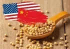 China Delays Rare Earth Rules, Commits to Multi-Year U.S. Soybean Purchases
