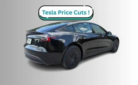 Tesla Launches “Standard” Model Y and 3 With Minimal Price Cut
