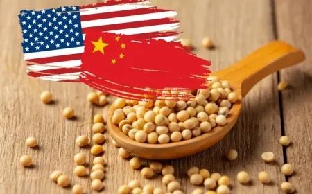 China Delays Rare Earth Rules, Commits to Multi-Year U.S. Soybean Purchases