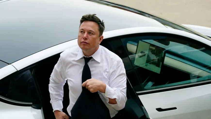 Tesla Stock Gains Before Tuesday Announcement on New EV Plans