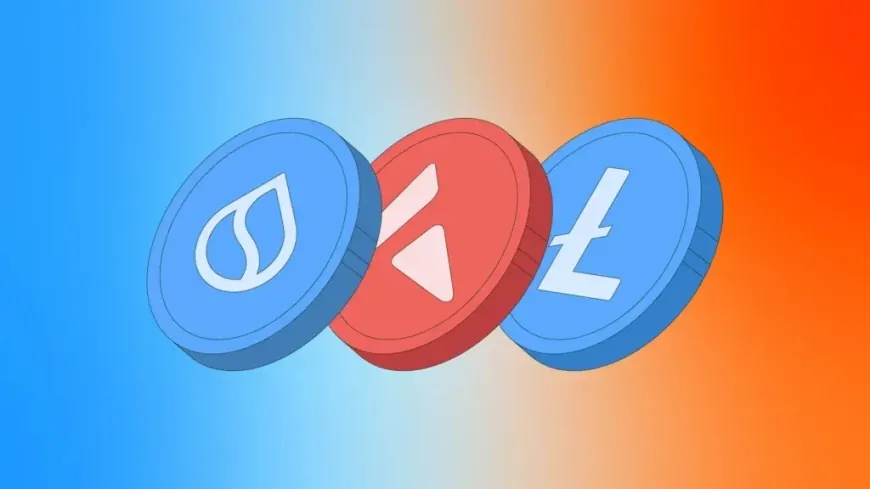 $446M in Altcoins Will Release This Week