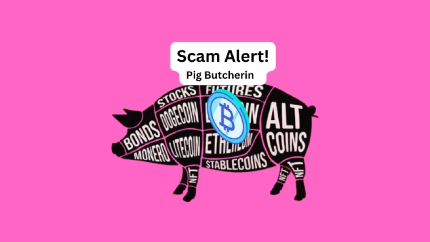 Pig Butchering Crypto Scams: How Criminals Stole $15B from Global Investors