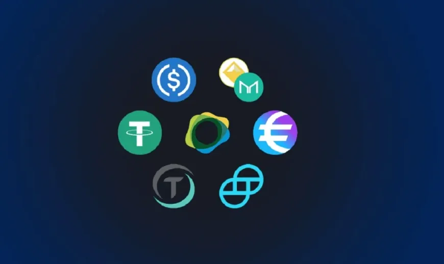 Stablecoin Payments Surge 70% After U.S. Regulation, Businesses Lead Growth
