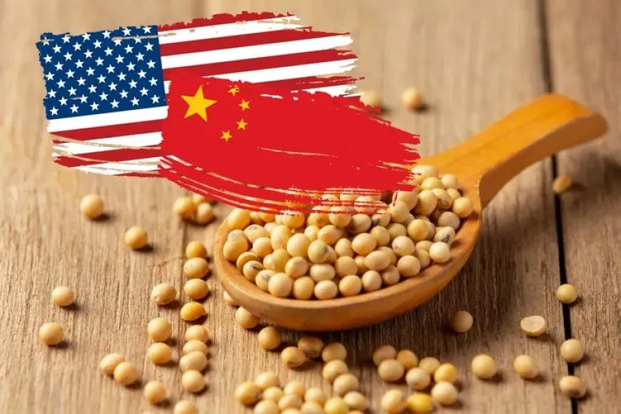 China Delays Rare Earth Rules, Commits to Multi-Year U.S. Soybean Purchases