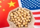 China Reopens Market for U.S. Soybeans and Logs After Trade Talks