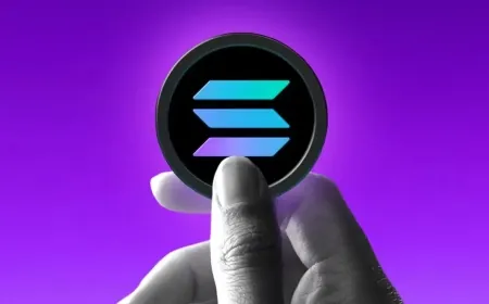 Most Solana Holders Now in Loss as Market Decline Continues