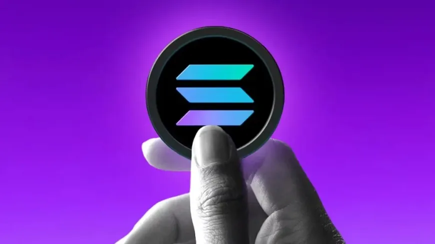 Most Solana Holders Now in Loss as Market Decline Continues