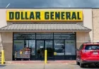 Dollar Tree and Dollar General Stocks Beat Nvidia This Year